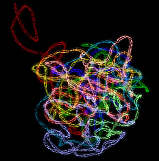 最佳年度生物显微照片,水蚤微观照居首