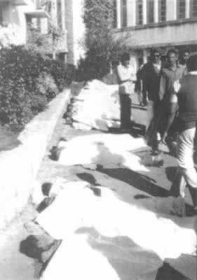 震惊世界的印度博帕尔毒气泄漏惨案（歷史上的今天.中國）