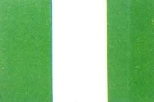 我国与尼日利亚建立外交关系(TodayOnHistory.COM)