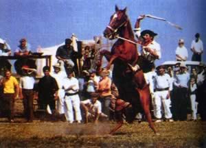 我国与阿根廷建立外交关系