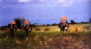 我国与苏丹建立外交关系(歷史上的今天.中國)