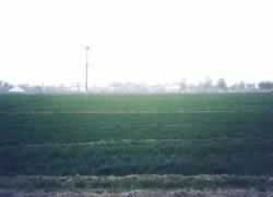 石家庄发生特大爆炸案 造成108人死亡38人受伤(歷史上的今天.中国)