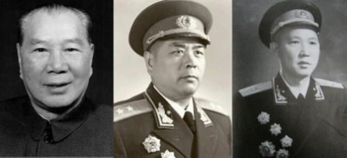 杨成武、余立金、傅崇碧事件