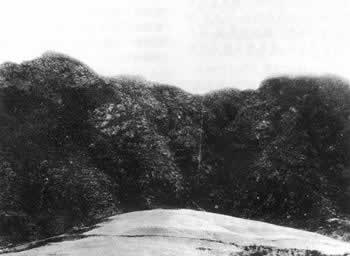 王若飞、叶挺、秦邦宪、邓发等因飞机失事遇难