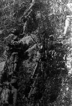 枣宜会战开始(TodayinHistory.cn)