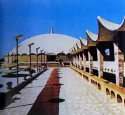 我国与巴基斯坦建立外交关系