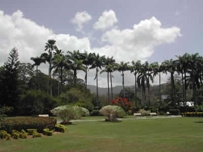 中国与特立尼达和多巴哥建立外交关系