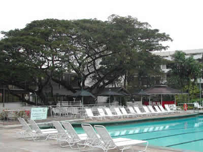 中国与特立尼达和多巴哥建立外交关系