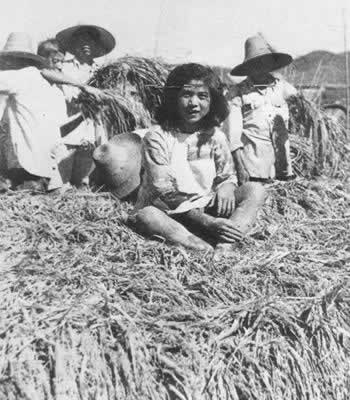 大跃进运动放出第一颗亩产卫星