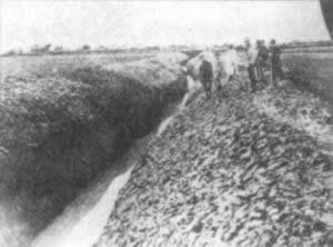 日本人制造万宝山事件