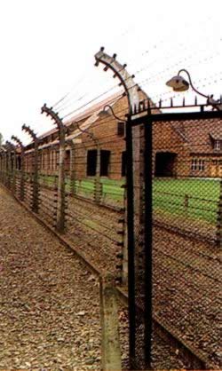 波兰把奥斯威辛集中营改为纪念馆