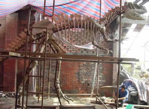 我国首次在四川永川县发现一具比较完整的恐龙化石