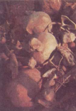 柬埔寨谴责波尔布特搞大屠杀