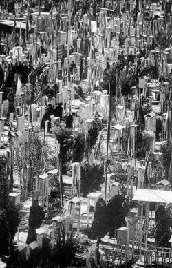 两伊正式实现全线停火