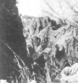 狼牙山五壮士壮烈跳崖